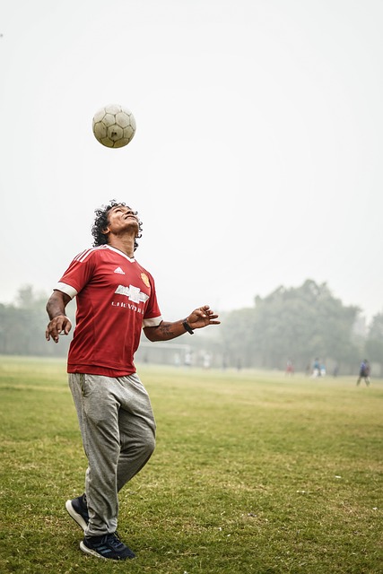 img2.jpg
